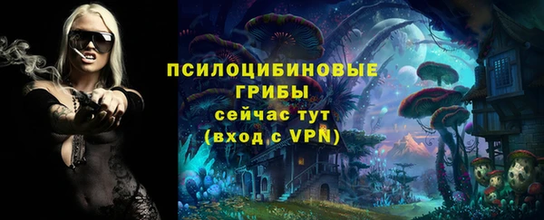 ГАЛЛЮЦИНОГЕННЫЕ ГРИБЫ Баксан