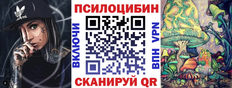 дарк нет состав  Тарко-Сале  Псилоцибиновые грибы Psilocybe 