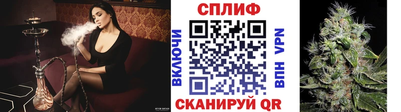 блэк спрут ONION  Тарко-Сале  Бошки Шишки тримм 